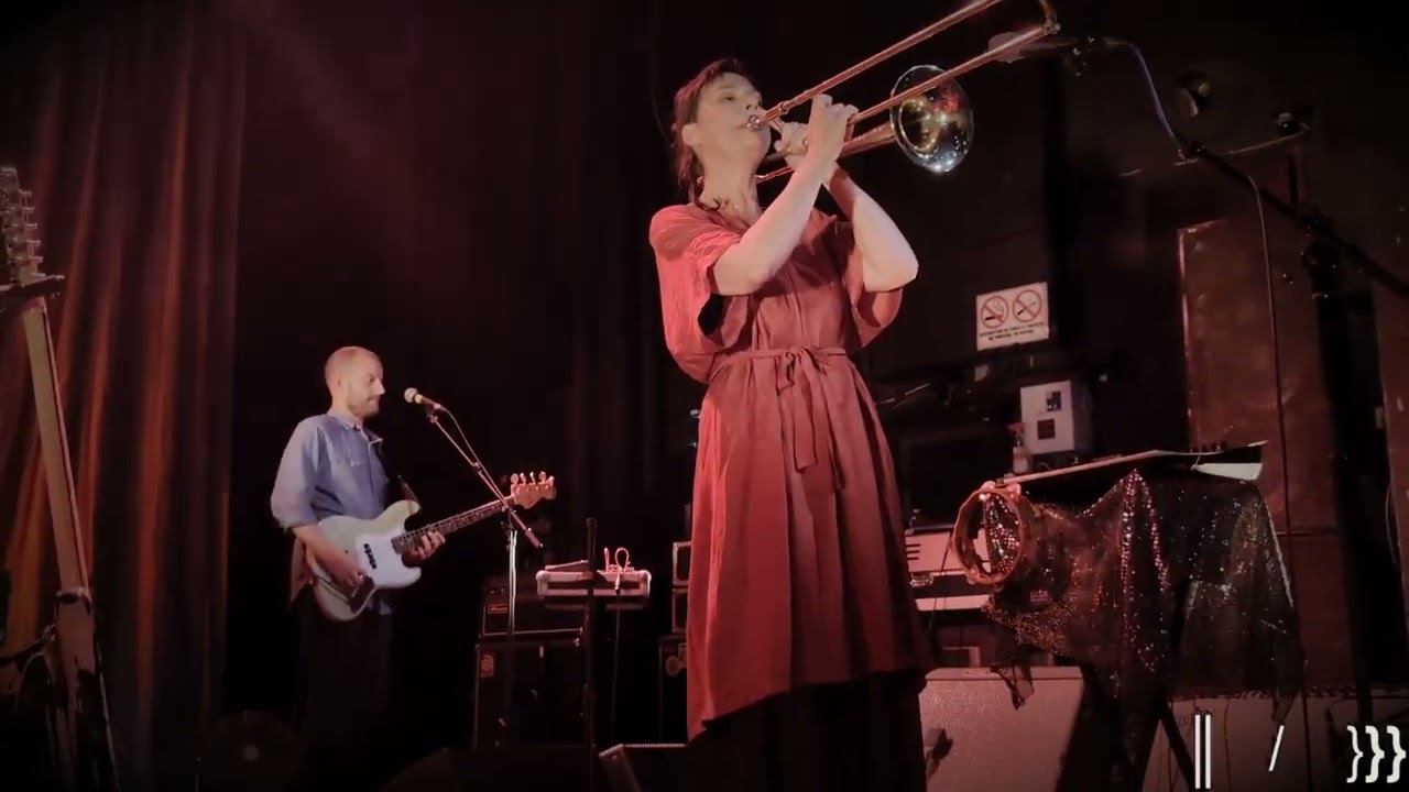Stereolab (Barbey, 202500605) - ║2 If you remember I forgot how to dream}