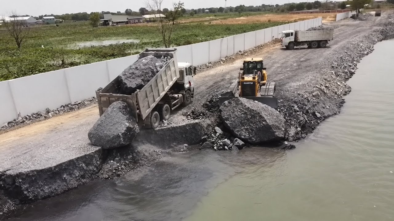 Amazing Project !! 25T Dump Trucks Loading Stones Filling big Lake With Shantui Dozer