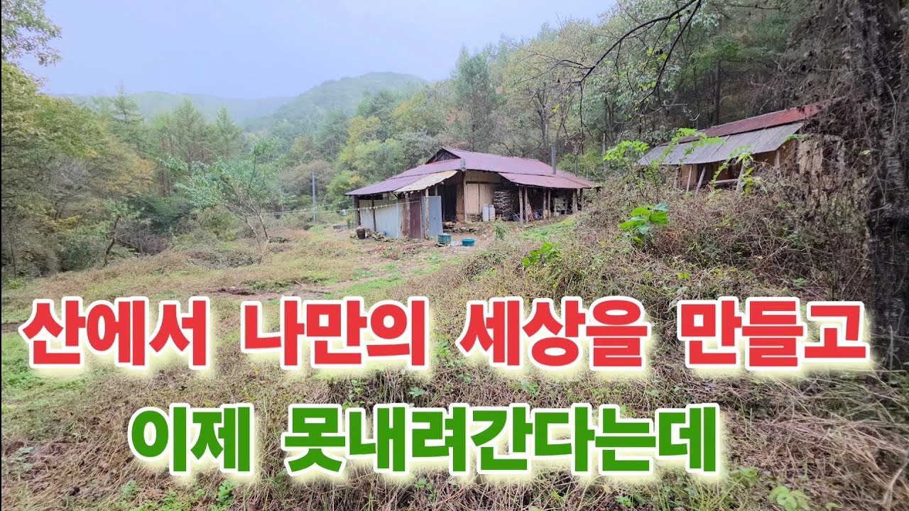 아무도 없는 곳에 나만의 세상을 만들고 산에서 못내려간다는 한남자!