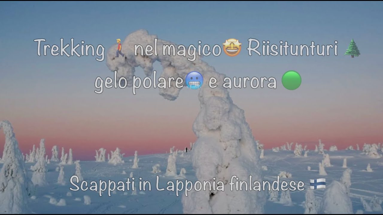 Trekking 🚶‍♂️ nel magico 🤩 Riisitunturi🌲 gelo polare 🥶 e aurora boreale 🟢