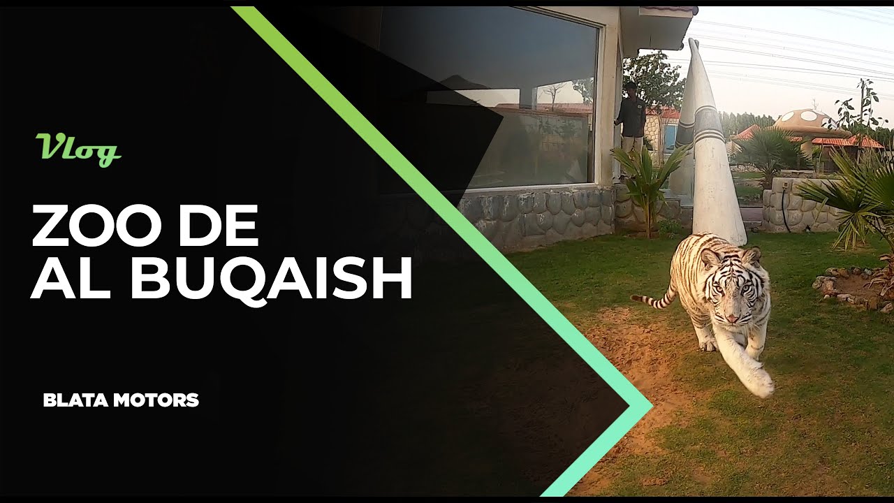 ► Je visite le Zoo Al Buqaish à Dubaï // Vlog Blata Motors @ Dubaï by Marc Blata