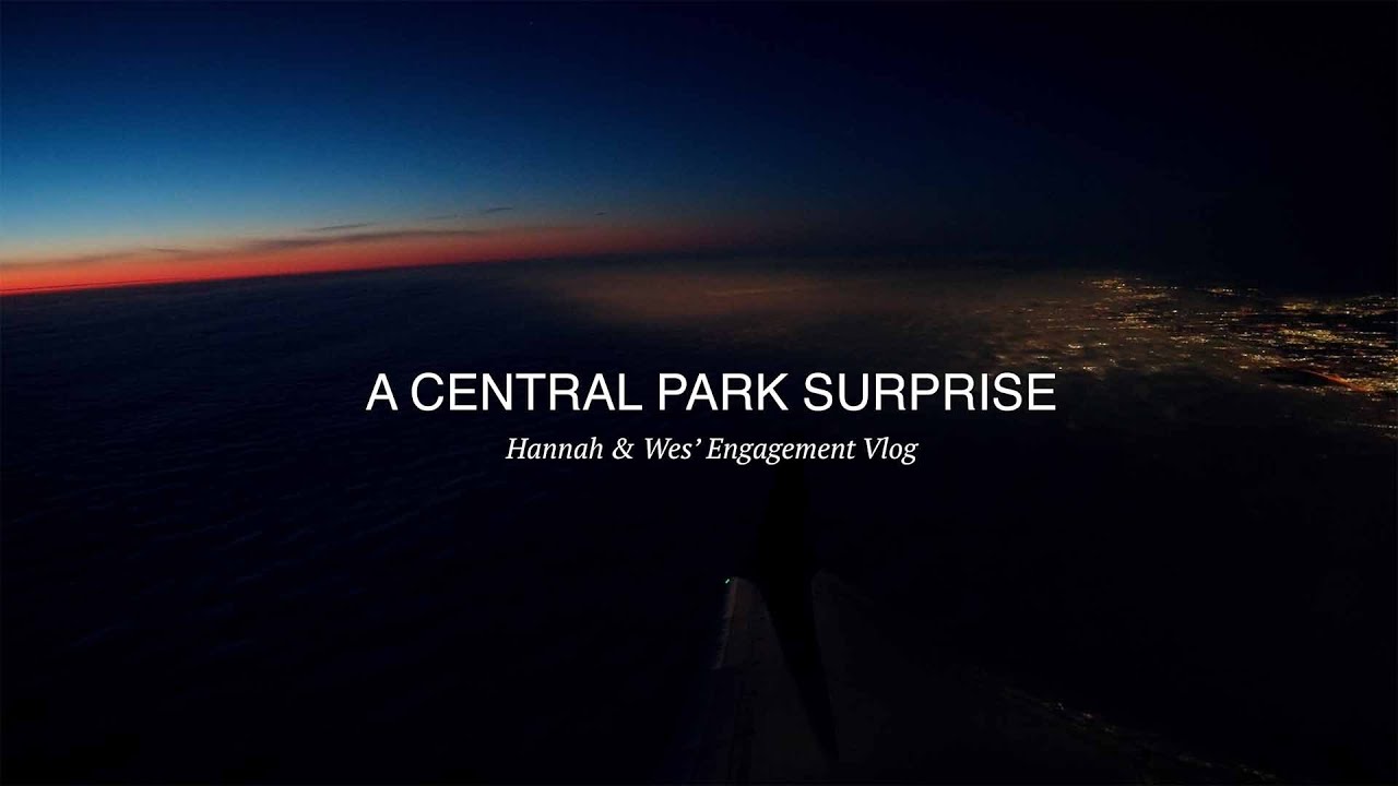 A Central Park Surprise  I   Hannah and Wes' NYC Engagement Vlog