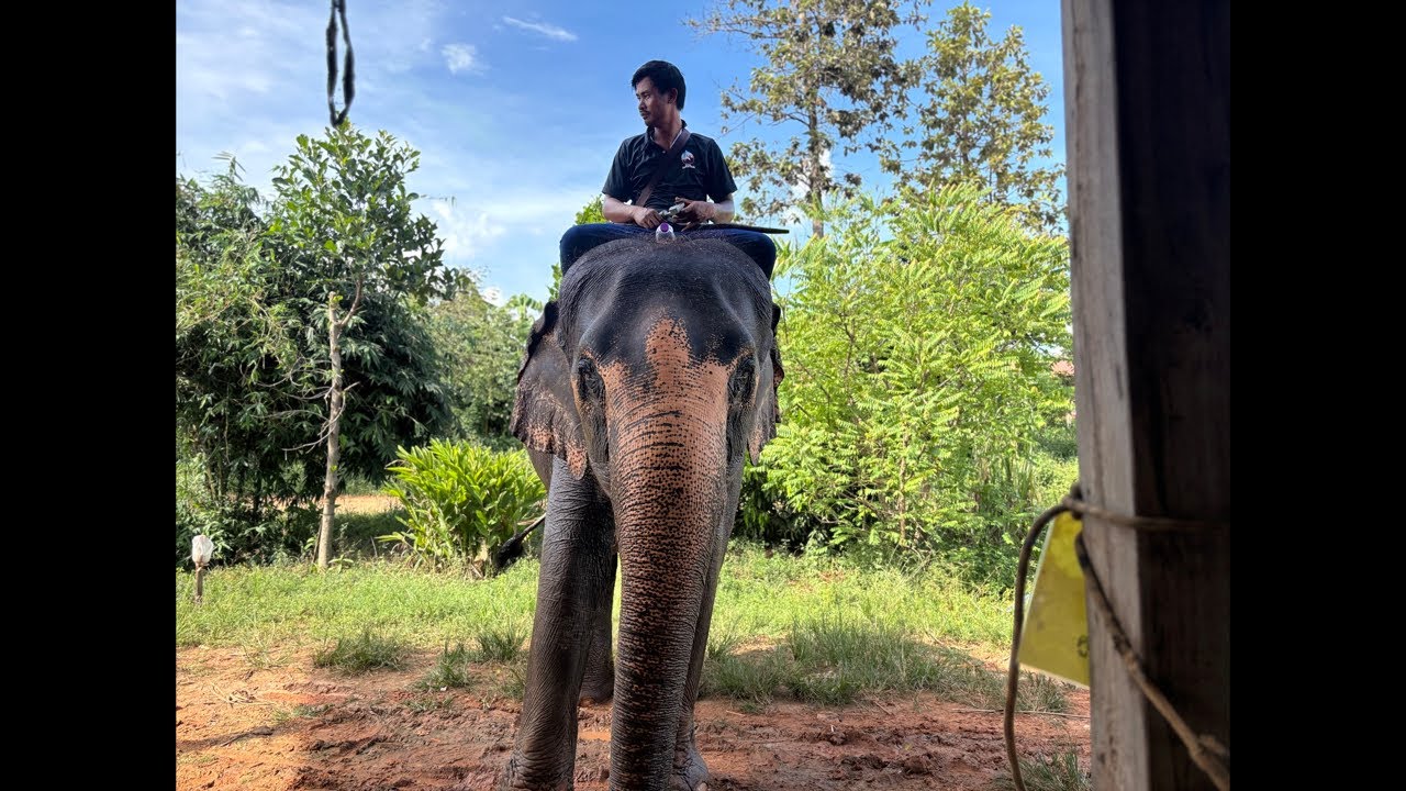 ไปให้กำลังใจพี่เพชรกันแม่ๆ