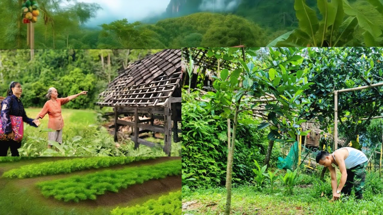 CEO leaves company, goes into the forest to live a self-sufficient life - CEO Jack.