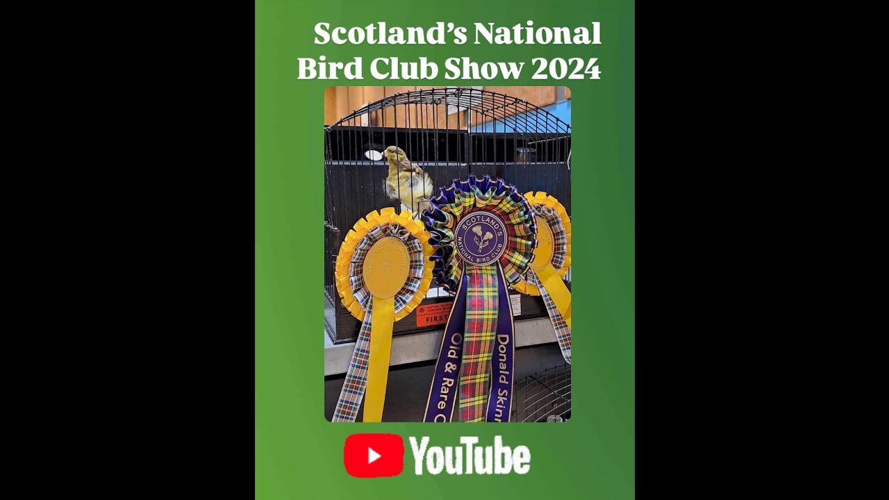 The Border Corner - Season 2 Part 15 ——— The Scottish National