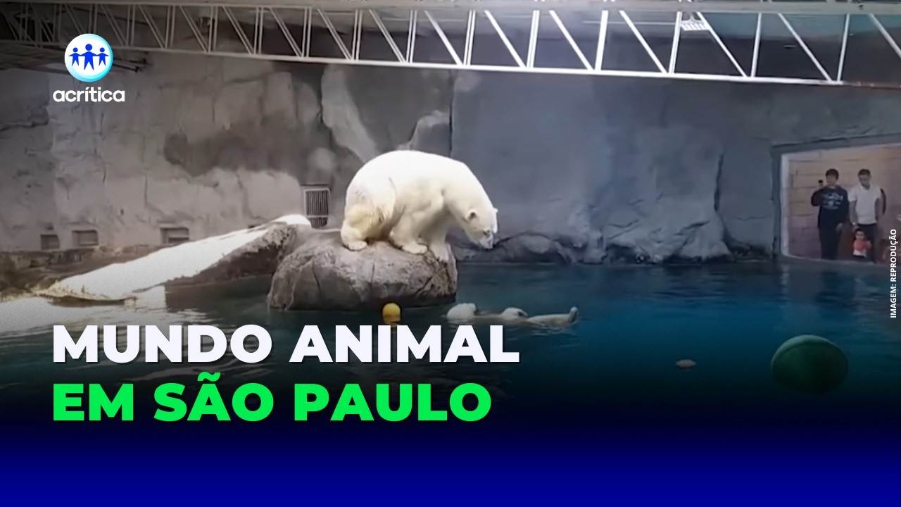 ALEXA YNGRID VISITAR PRIMEIRO AQUÁRIO TEMÁTICO DA AMÉRICA DO SUL