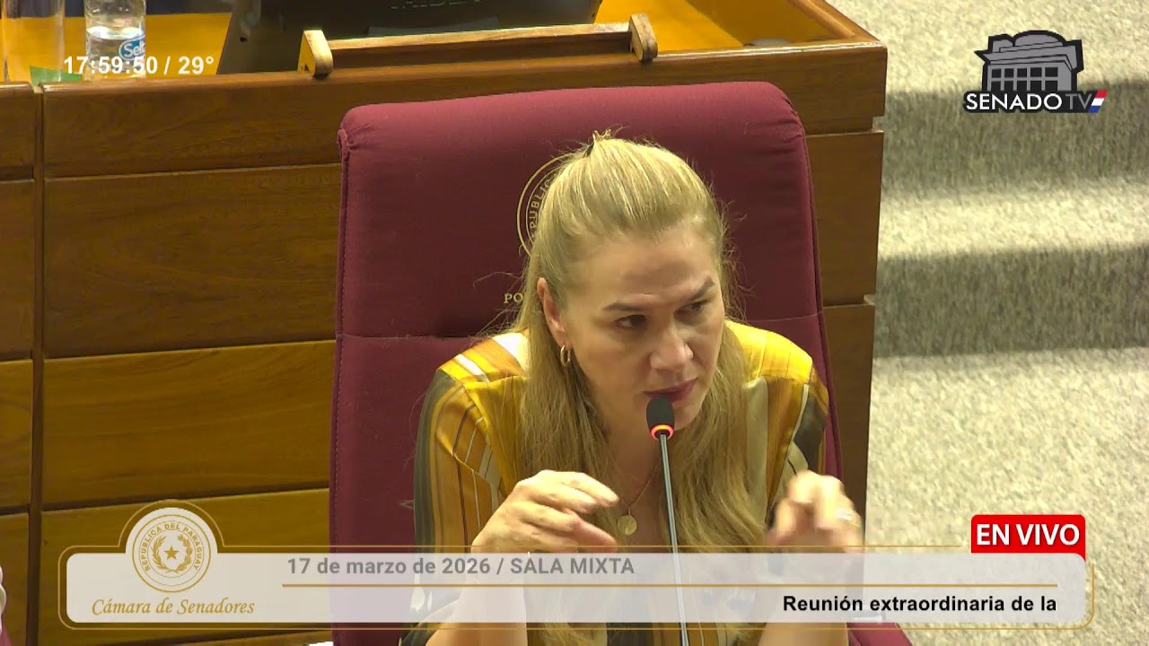 COMISIÓN BICAMERAL - 17/03/2026
