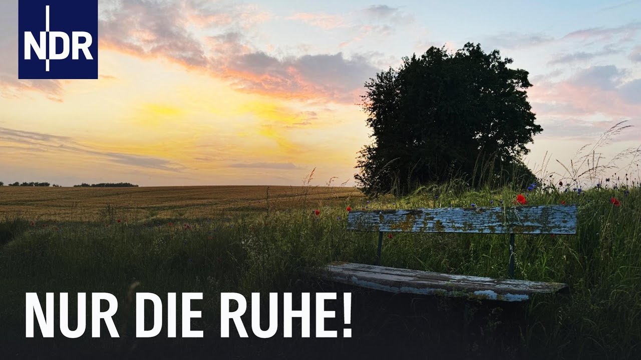 Sommer in MV: Besondere Menschen an der Peene | die nordstory | NDR Doku
