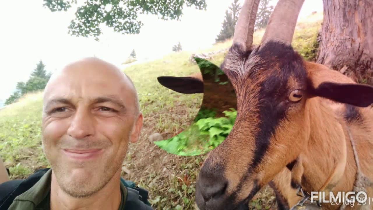CAMPERISTI ! 