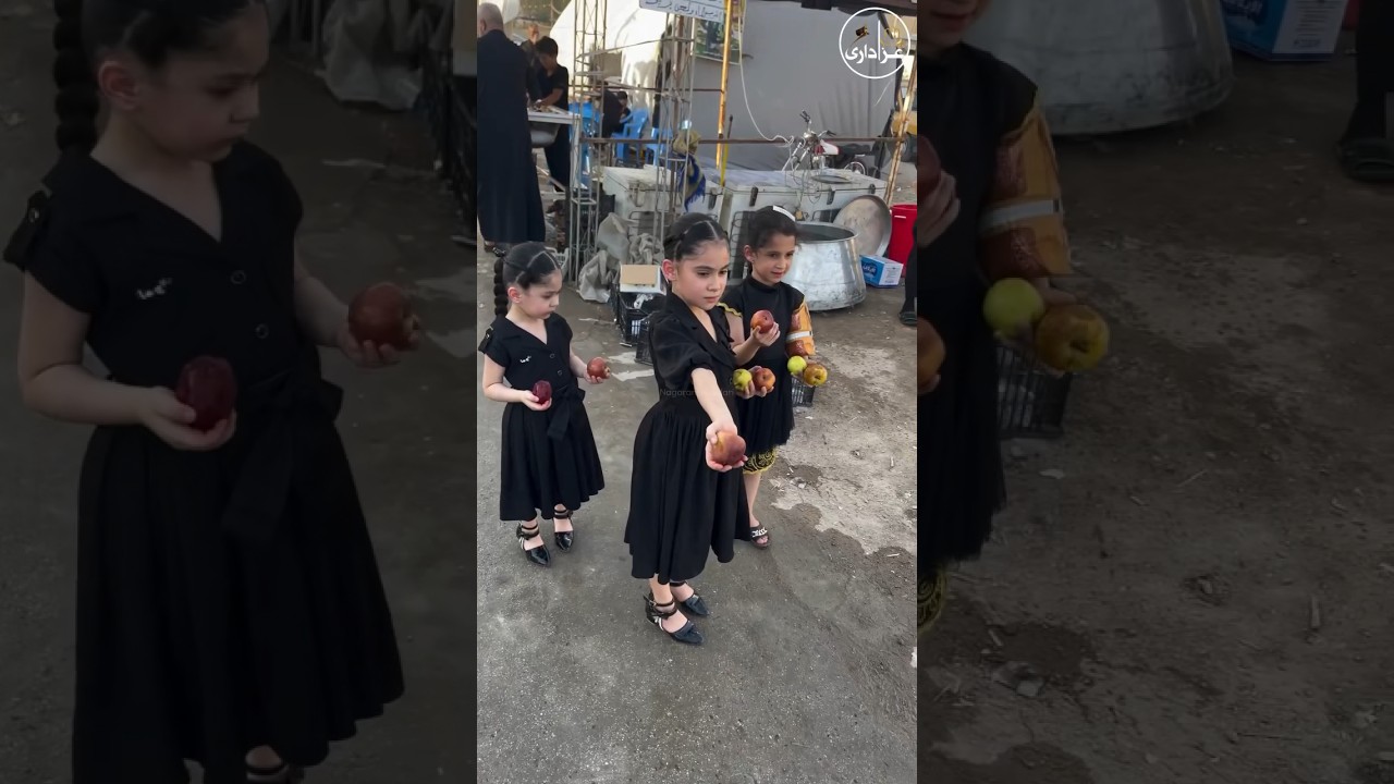 Najaf To Karbala Walk 2024 | Arbaeen Walk | Safar E Ishq | Arbaeen | 2024 / 1446H #karbala #iraq