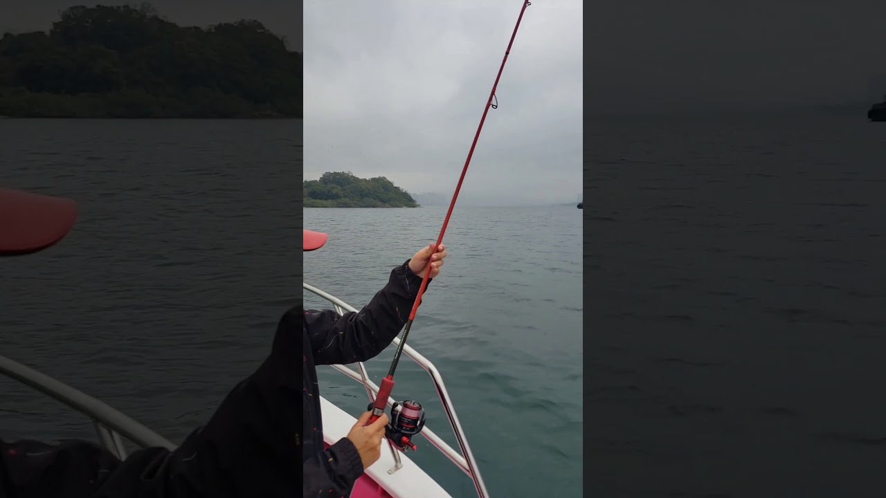 香港釣魚 fit魷 EGING Fishing hk Catch SQUIDS 餌木 木蝦 【木蝦增加遠投距離方法】 PinkBee木蝦xPinkBee魷魚號大埔北水fit魷