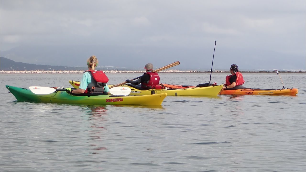 Kayak Ampolla-Cap Roig. Bahía del Fangar
