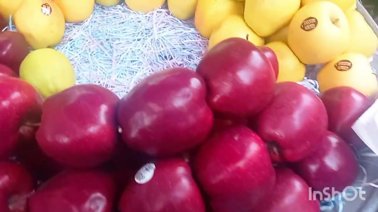 اسعار السمك🐬 في السوق تعالوا نشوف 🧄🍅