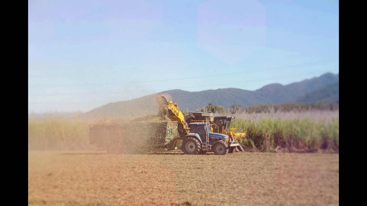 Fabricación de Papel con Caña de Azúcar ♻️ | Ledesma Sustentable - Alimentos y Regiones