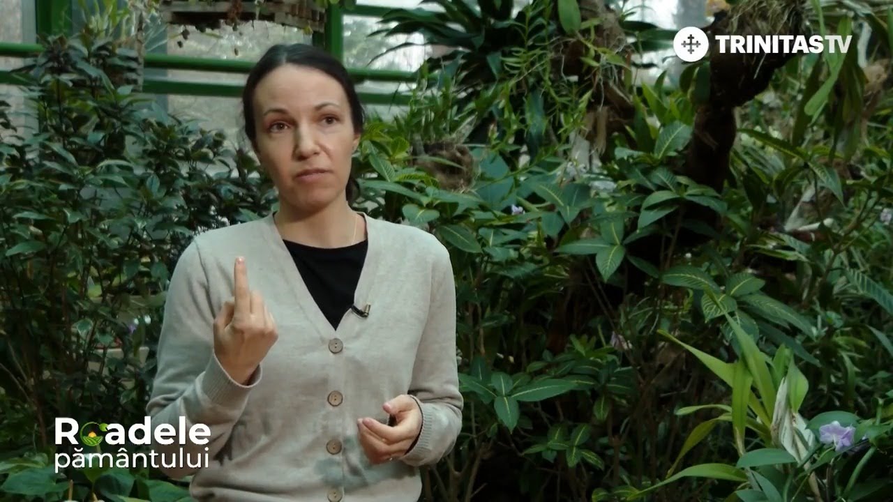 Hirudoterapia: beneficiile și contraindicațiile terapiei cu lipitori #Roadelepământului