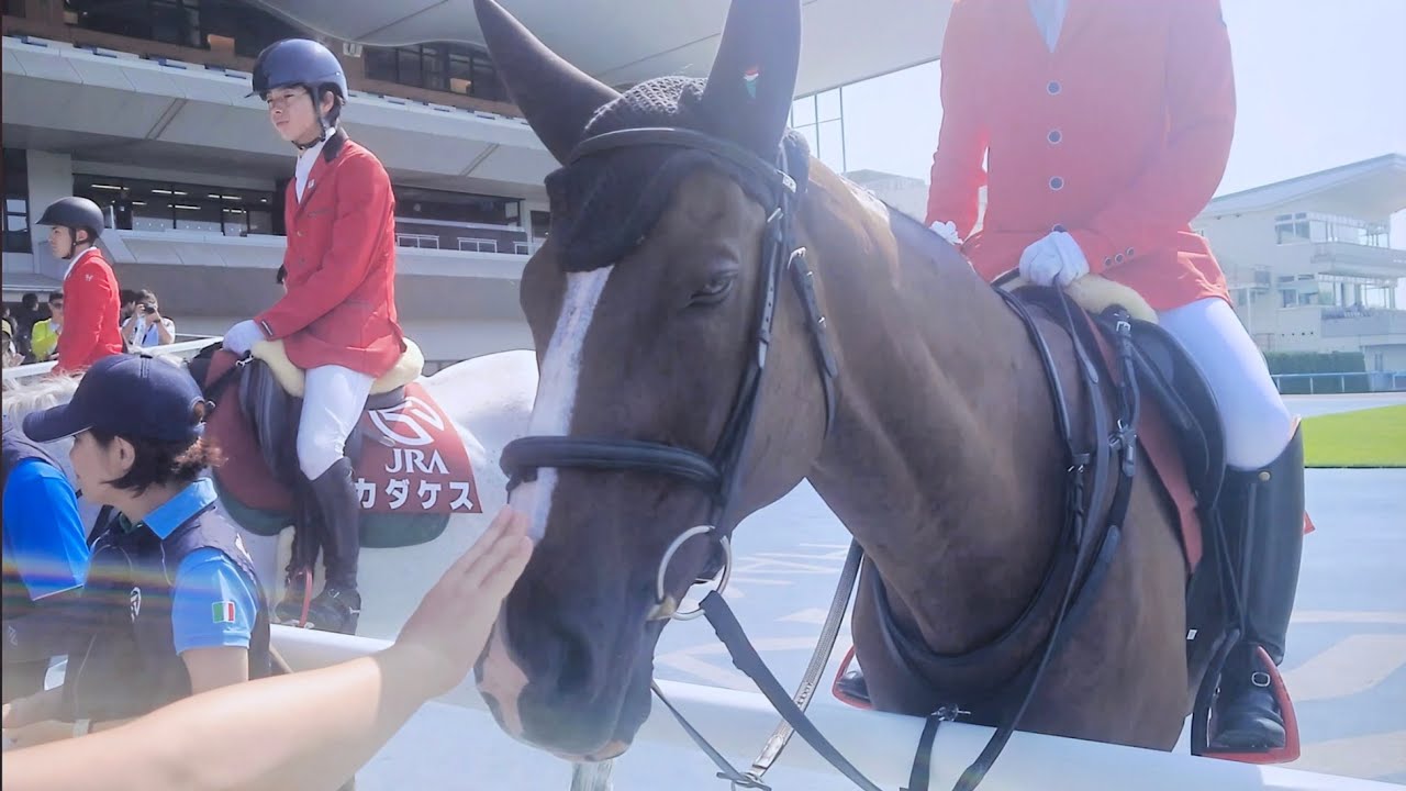 【誘導馬】今日で誘導馬を卒業しますサイモントルナーレ 現地映像 函館記念day