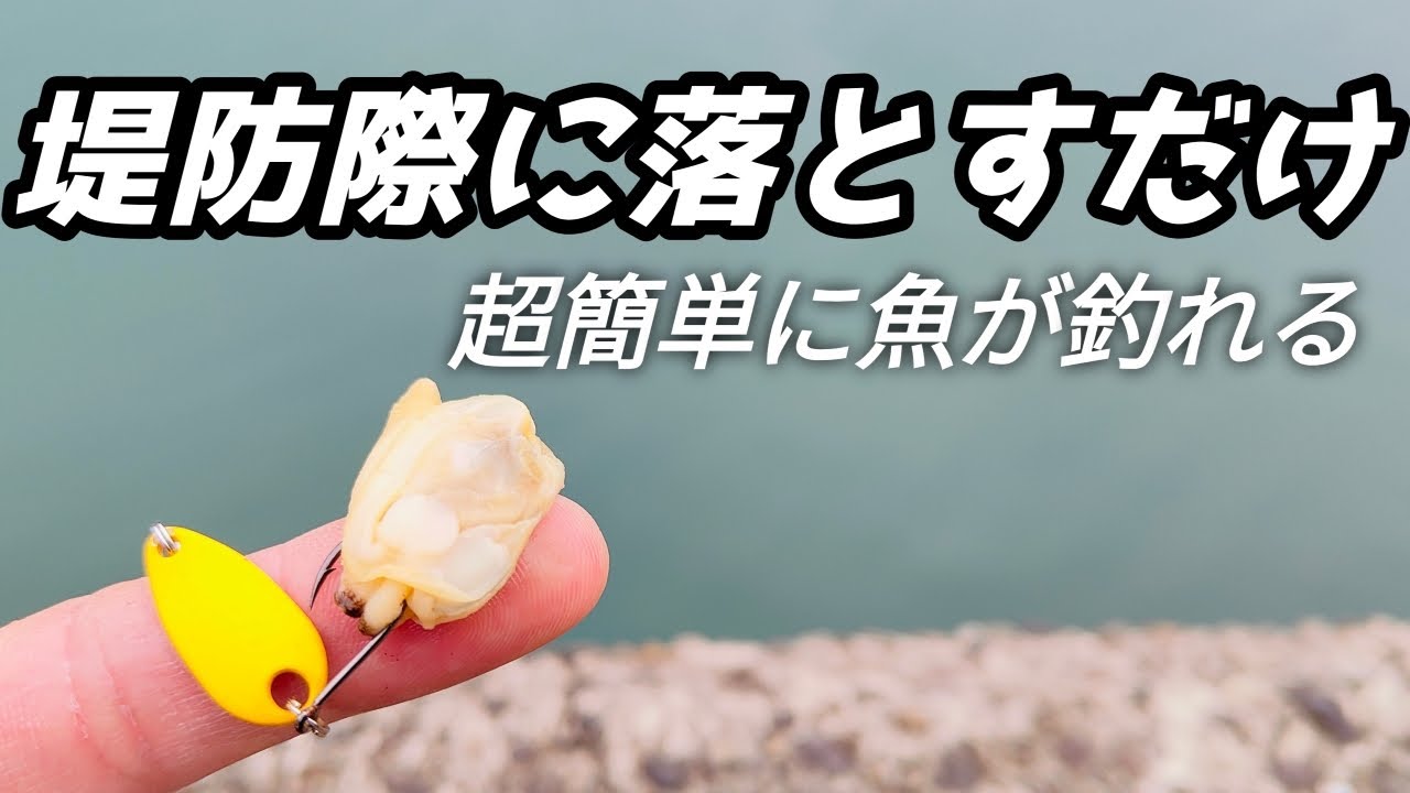 超簡単に魚が釣れる ダイソースプーンにボイルあさりをつけて堤防際に落とすだけ