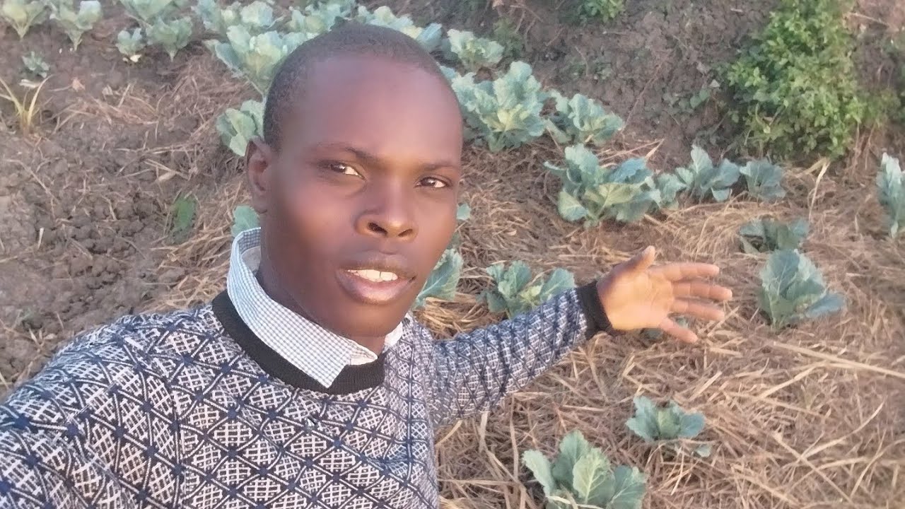 IT WAS MY SPECIAL DAY THAT I TOOK A SMALL BREAK TO JOB