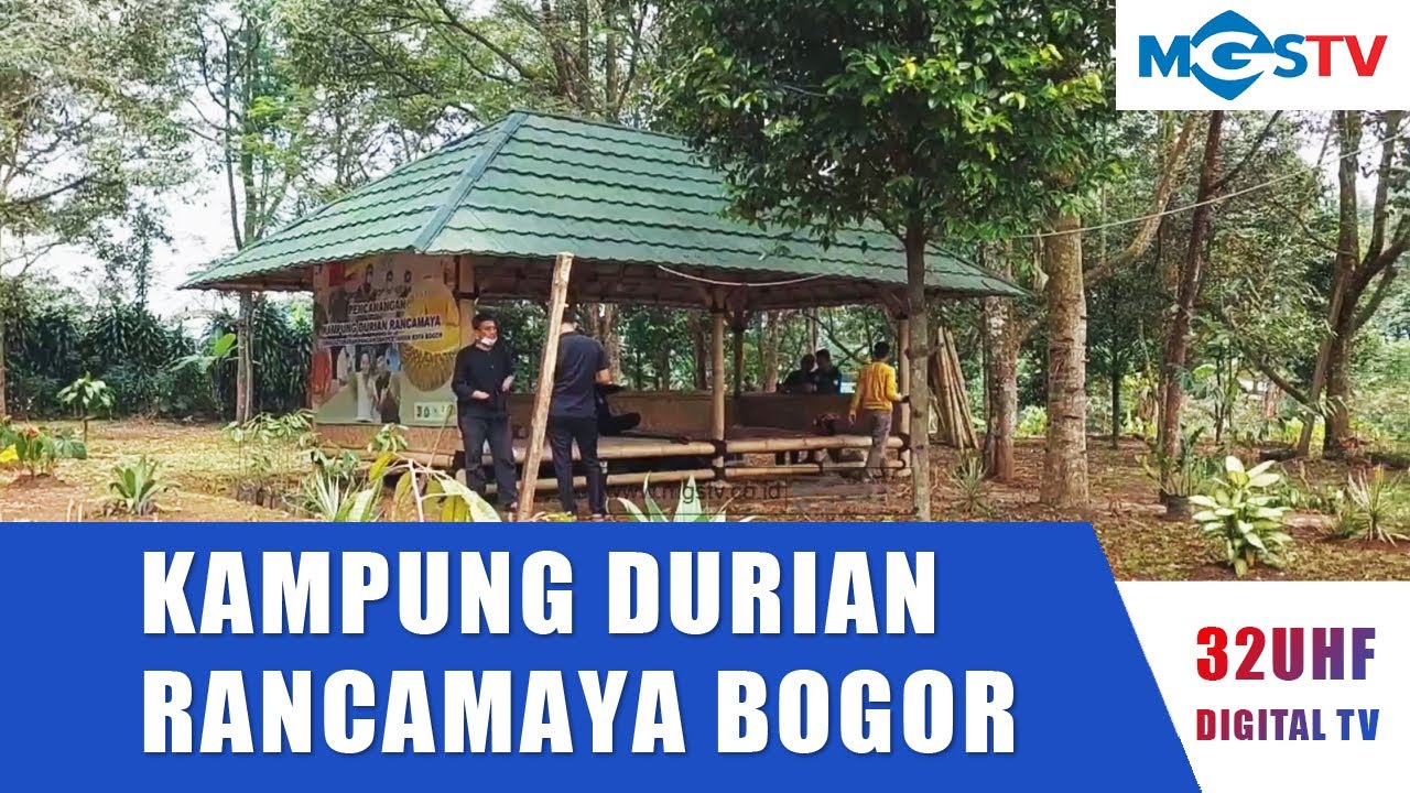 KAMPUNG DURIAN RANCAMAYA KOTA BOGOR