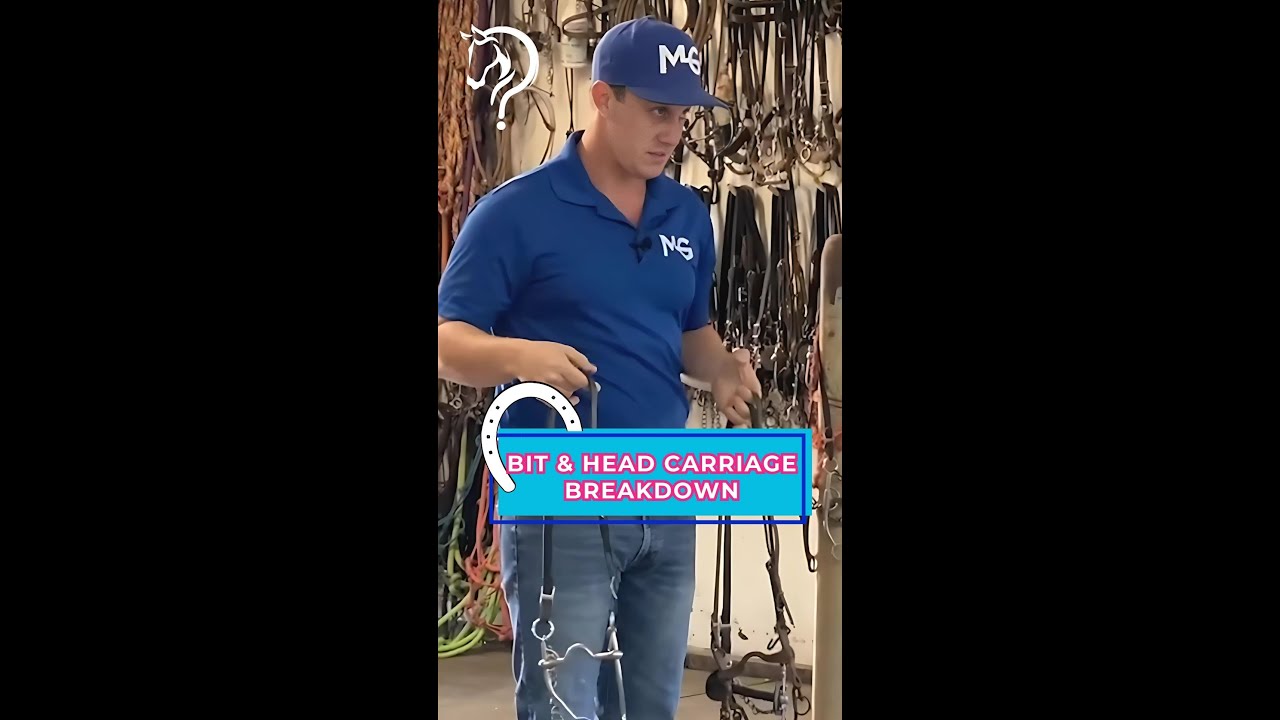 Bit And Head Carriage Breakdown! Part 22! | The Horse Guru-Michael Gascon