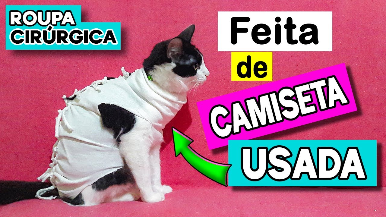 Roupa Cirúrgica Pet | DIY [Super Fácil]