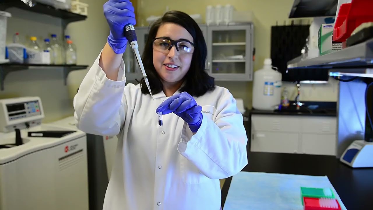 FAQ: Tips & Tricks for Working with Plateable Hepatocytes