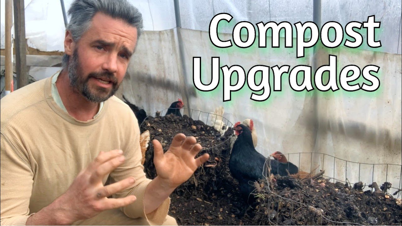Chicken Compost - Upgrading and deepening design aspects