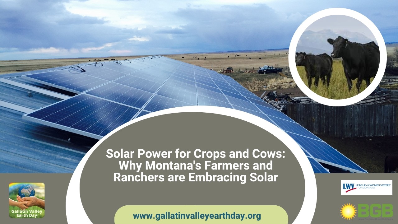 Solar Power for Crops and Cows: Why Montana's Farmers and Ranchers are Embracing Solar