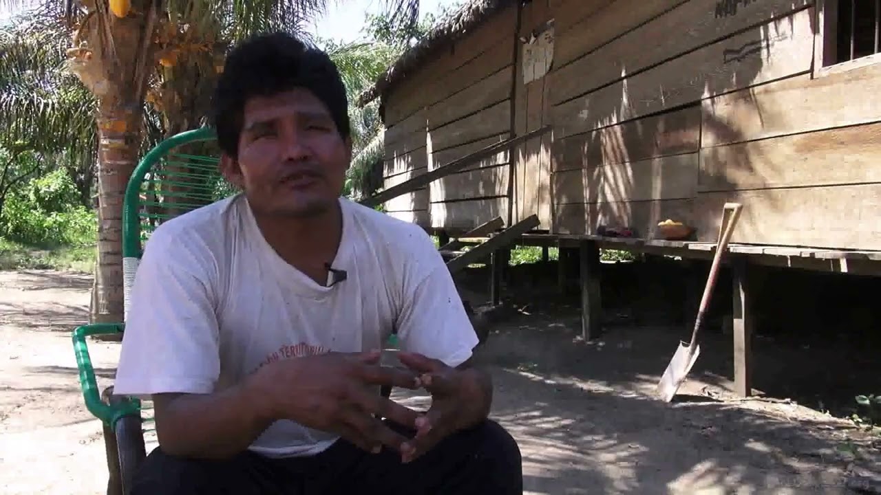 Memorias del Monte: Ogan Caimani y los relatos de contacto de sus antepasados Mosetén