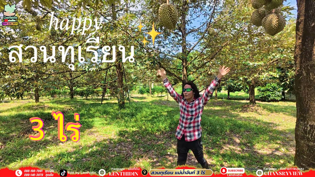 🌈บ้านสวนทุเรียน 3ไร่🏡🌤️🌳🌳🌳👩🏻‍🌾🧑🏻‍🌾🎉ไม้ผลให้ลูกมี #ทุเรียน 100กว่ามังคุด14ต้น🌼🌲 #durian #จันทบุรี 🌕✨🛸