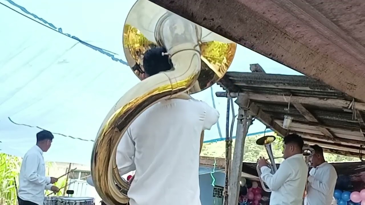 La Tinajita, Mi Lindo Cafetal, Ilusión 98, Cumbia del Muerto y el Querer PURO EXITO 2025