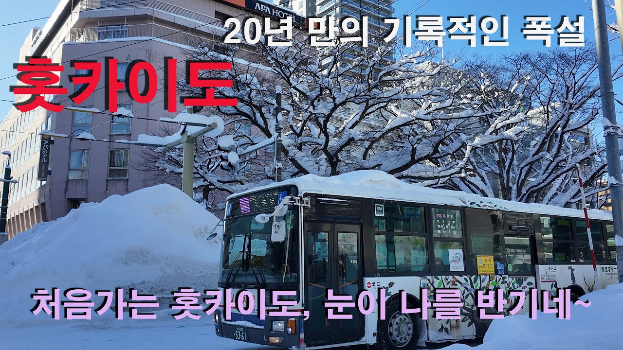 20년 만에 찾아온 기록적인 폭설, 나 홀로 걷는 삿포로  눈길 산책(ASMR)