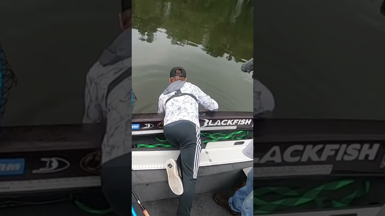 Musky Fishing with Carmel Apple Mid Medusa #chaostackle #shortsvideo #shorts #fishing