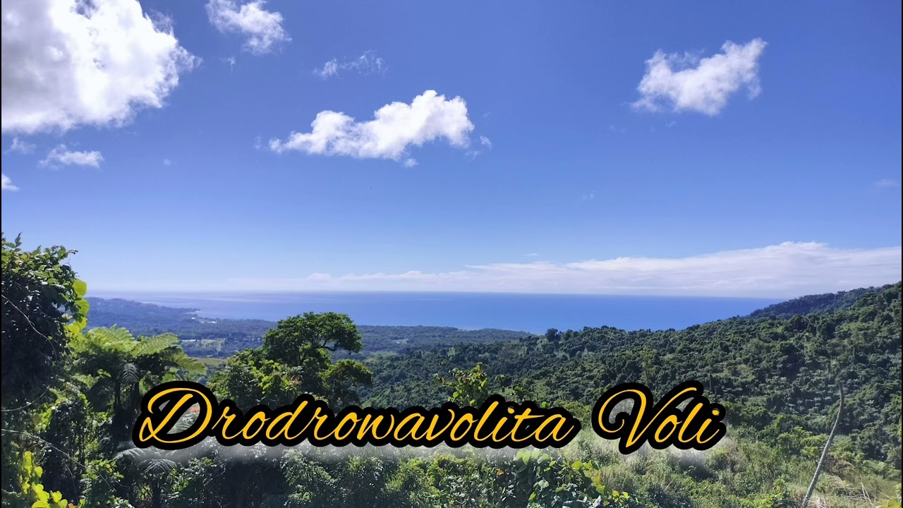 Delai Voni: Drodrowavolita Voli