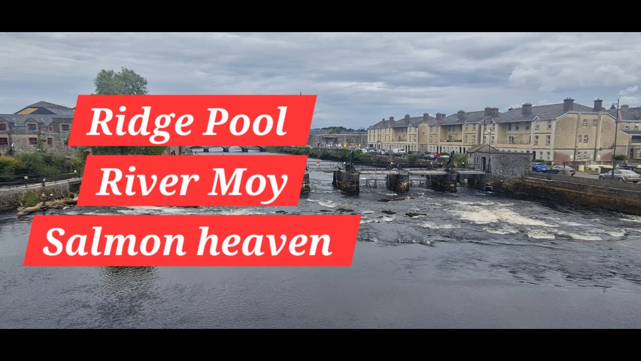River Moy Ballina Ridge pool salmon and a visit to Ballina Angling Centre Co.Mayo 🇮🇪