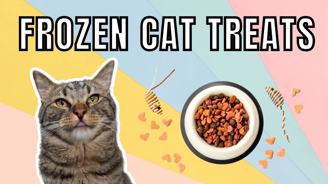How to Make Frozen Cat Treats (BUDGET FRIENDLY!)