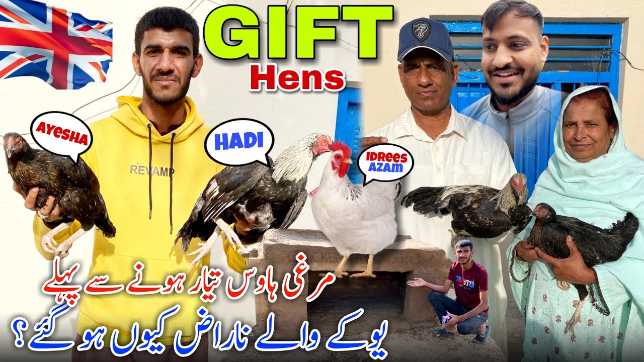 Gifted Hens For Idrees Azam, Ayesha & M Hadi 😍🇬🇧Why Uk Family Angry On Chicken House? 😟Family Vlog