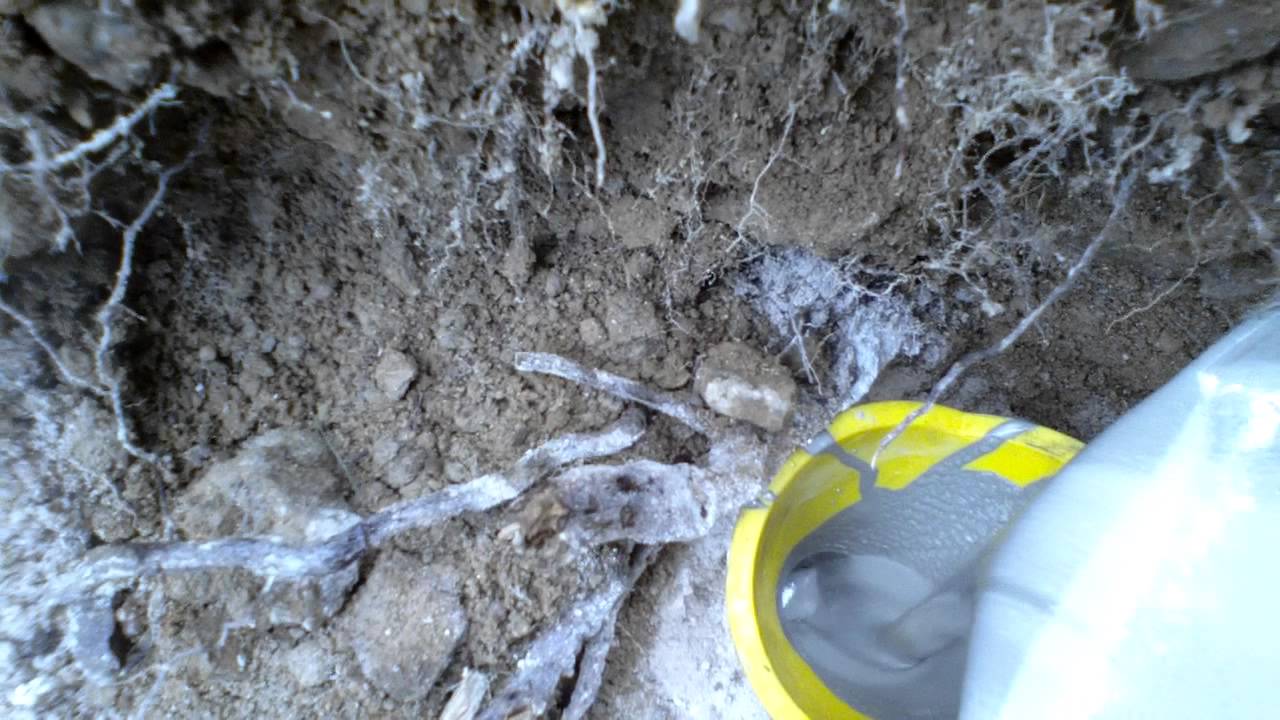 Dexpan Rock Breaking