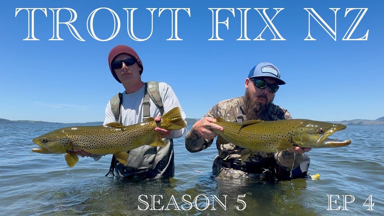 January 12th sight fishing HUGE lake Rotorua BROWN TROUT S5 Ep4