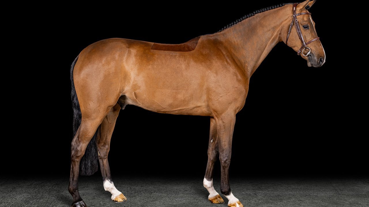 Dialon // 6yrs // Dia Corrado x Light On OLD