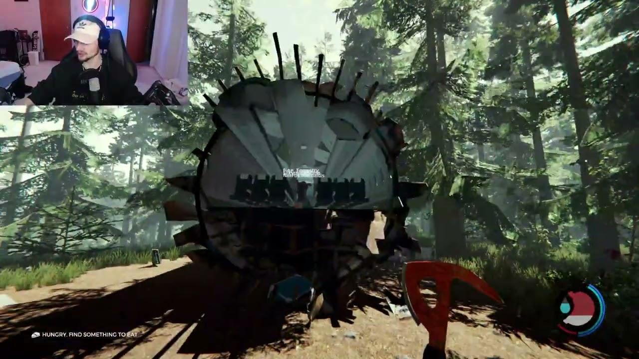 Ghostbusting in the Forrest