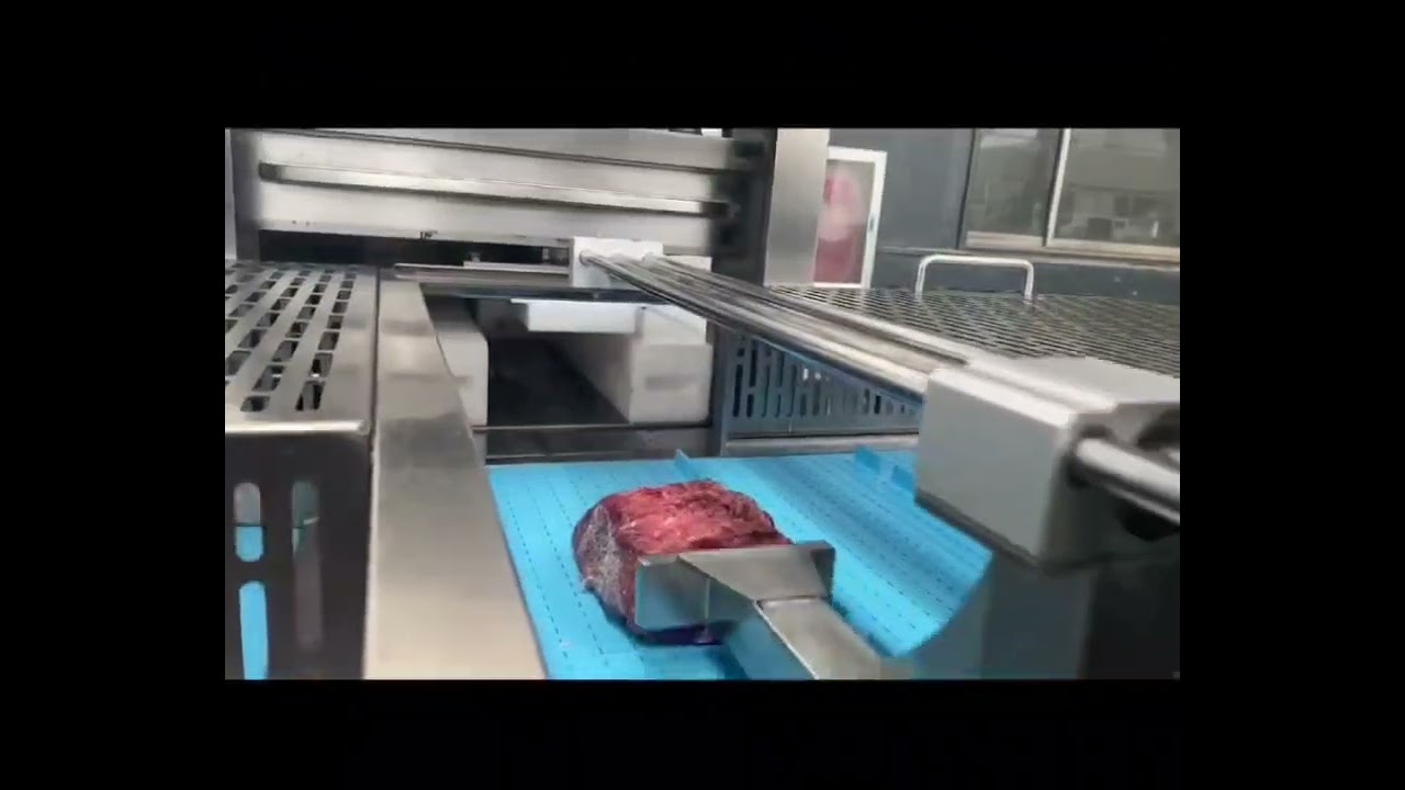 Meat Shaping machine