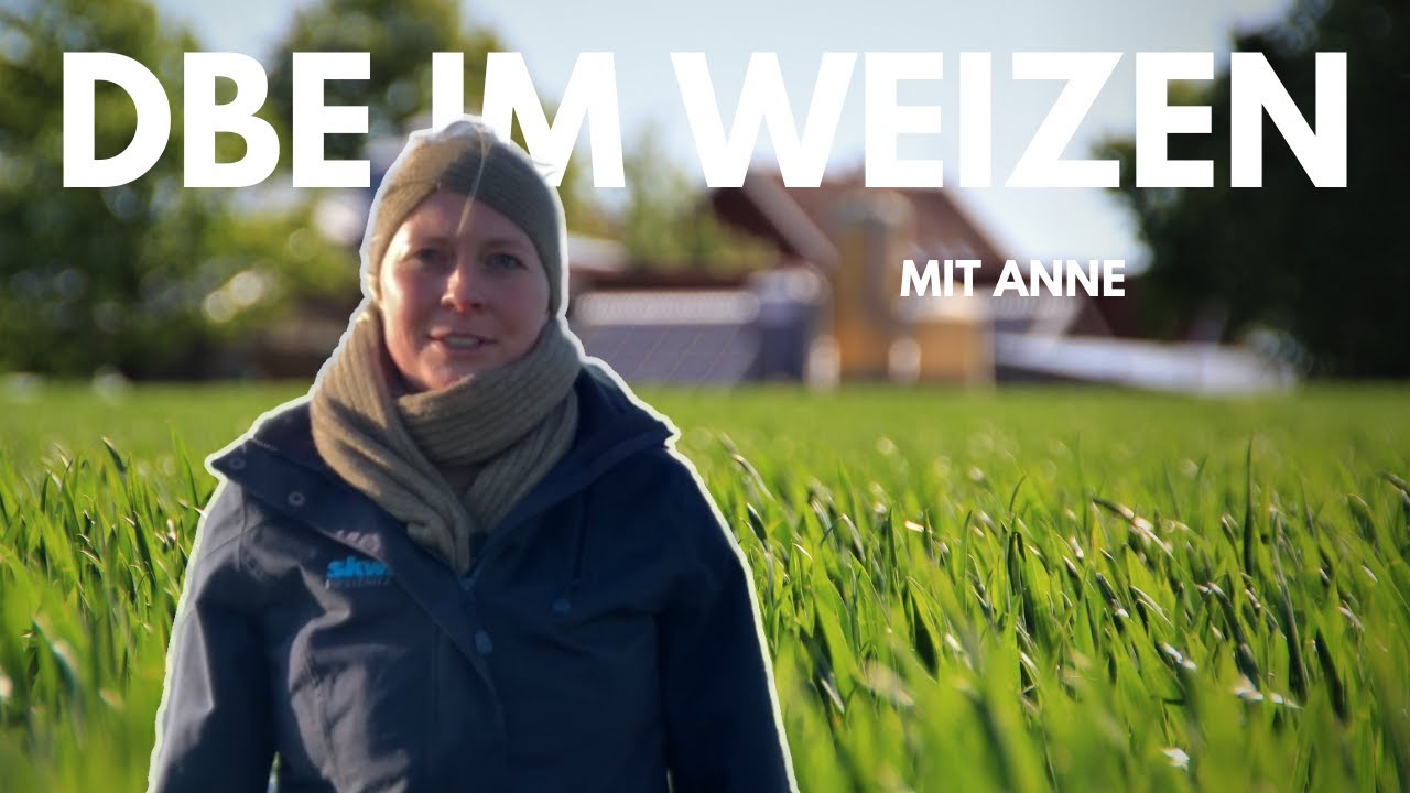 Von Experten für Profis: Düngebedarfsermittlung und Düngeempfehlung Weizen