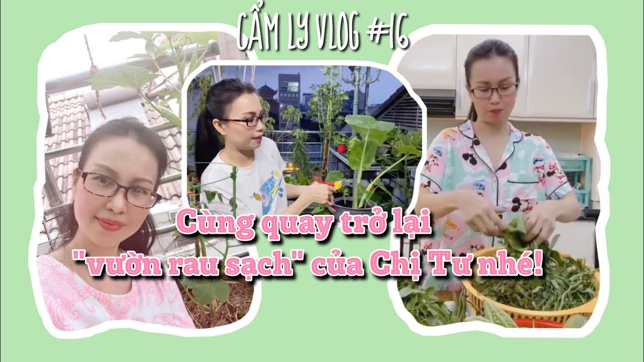 Vlog #16 | Cùng quay trở lại “Vườn rau sạch” của Chị Tư nhé!!