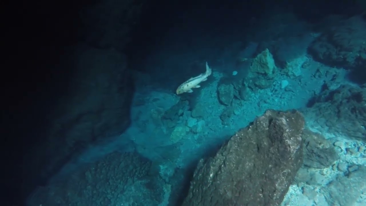 Descent into the Devils Den