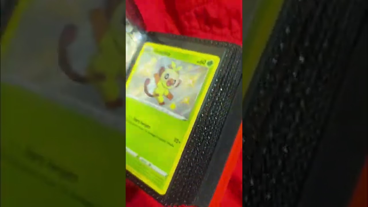 New Card Guard Mini Binders !