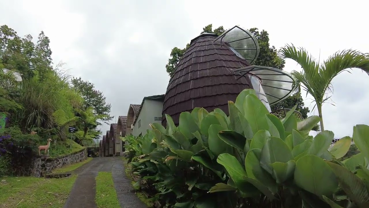 (Part 2) The Blooms VilLas Bedugul Bali Indonesia  ~ hotel bali