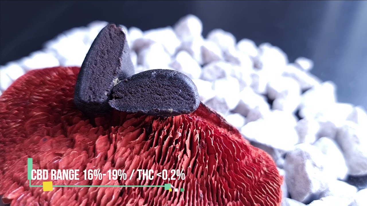 CBD BLACK AFGHAN HASH