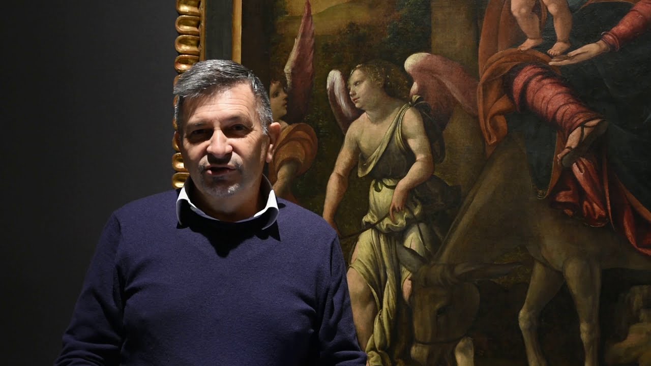 #7 | LA MOSTRA DAL DIVANO - Il miracolo della palma