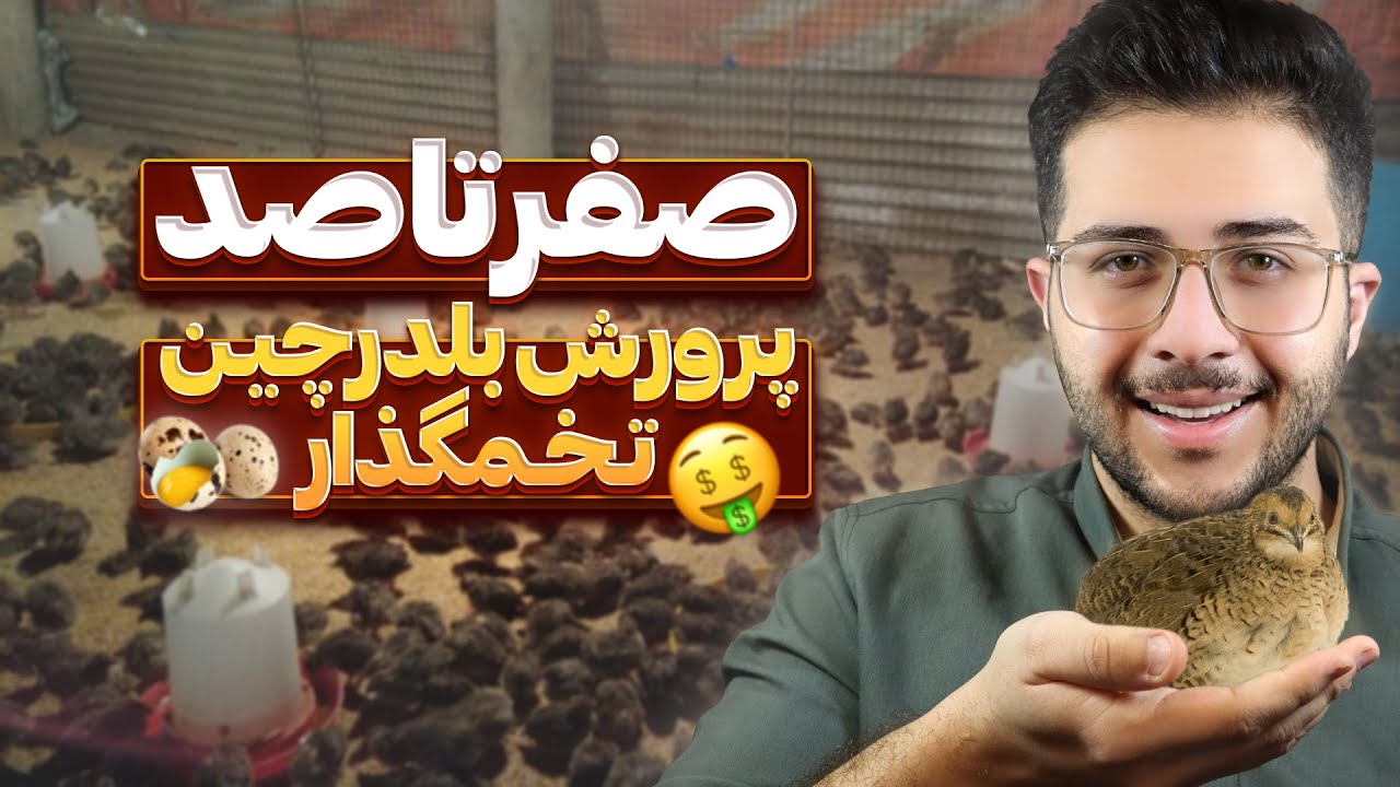 آموزش پرورش بلدرچین تخمگذار🥚 |  شرایط پرورش بلدرچین